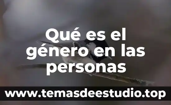 Holon del genero que es 3 Qué es el género en las personas