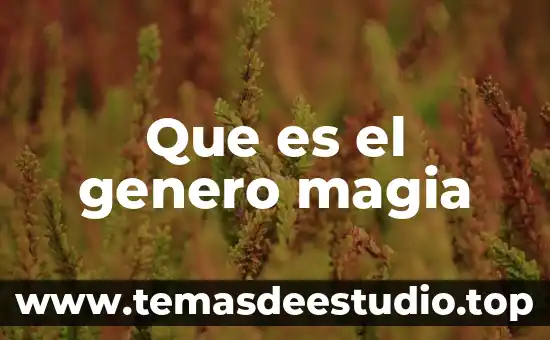 Que es el genero magia