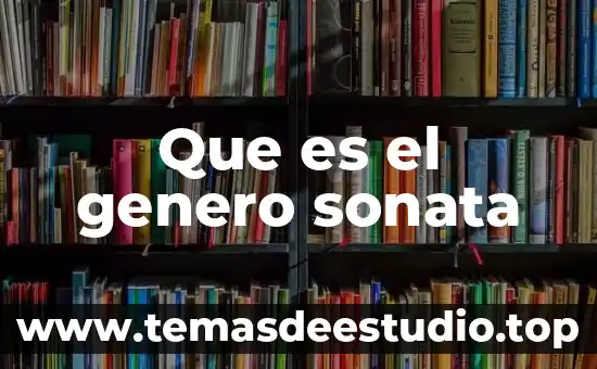 Que es el genero formacion 8 Que es el genero sonata