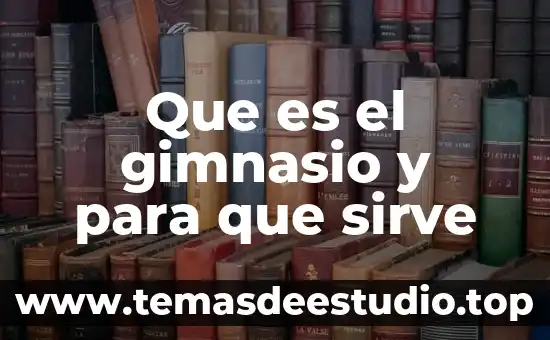 Que es el gimnasio y para que sirve