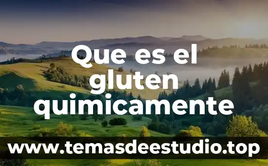 Que es el gluten quimicamente