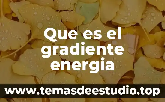 Energía geotérmica que es y como se obtiene 8 Que es el gradiente energia