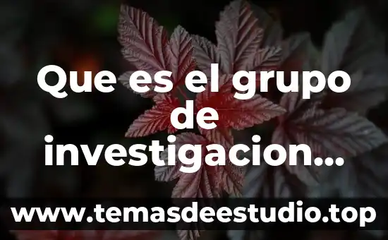 Que es el grupo de investigacion gripocas