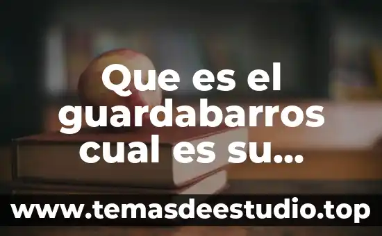 Cual formado piensan que es mejor por que 8 Que es el guardabarros cual es su nombre en mexico