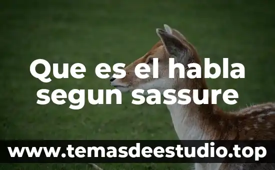 Qué es un circuito de habla con autor 5 Que es el habla segun sassure