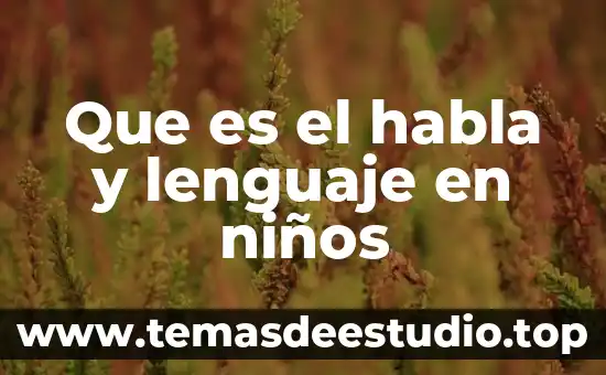 Qué es un circuito de habla con autor 6 Que es el habla y lenguaje en niños