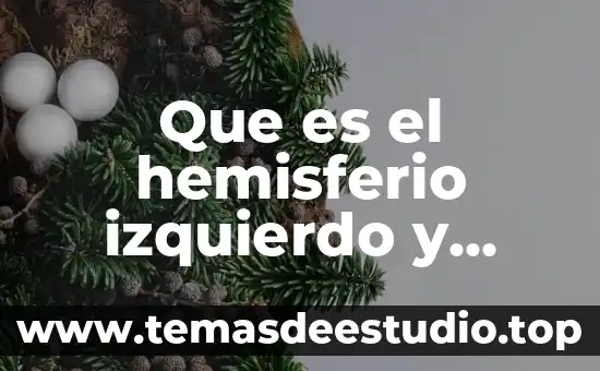 Que es el hemisferio izquierdo y derecho del cerebro
