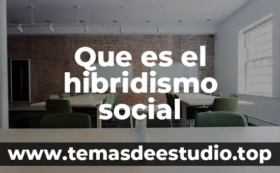 Qué es producción social concepto 7 Que es el hibridismo social