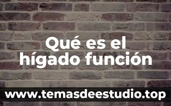 Número económico educativo que es 8 Qué es el hígado función