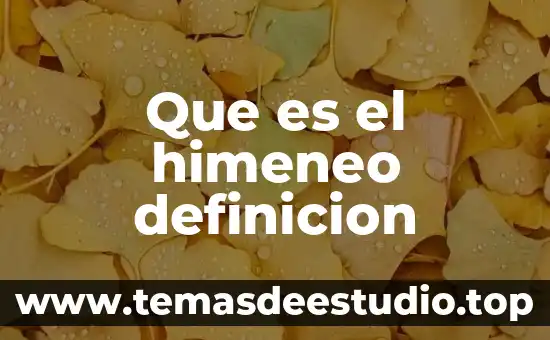 Que es el himeneo definicion