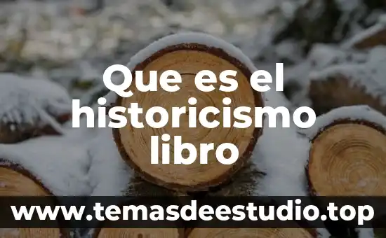 Que es el historicismo libro