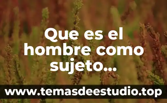 Que es el hombre como sujeto economico