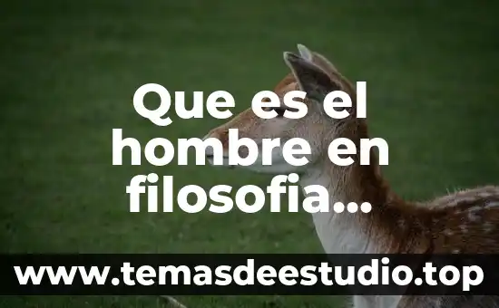 Qué es el conocimiento para los filosofos modernos 6 Que es el hombre en filosofia filosofos