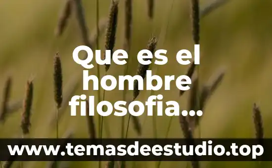 Que es movimiento medieval en literatura 3 Que es el hombre filosofia medieval