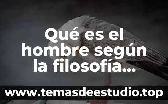 Qué es la familia según Anthony Giddens 6 Qué es el hombre según la filosofía griega