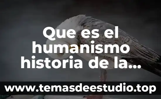 Que es el nylon historia 4 Que es el humanismo historia de la psicologis