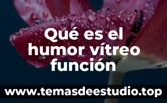 Que es la funcion de la metalinguistica 8 Qué es el humor vítreo función