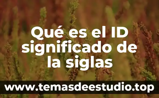 Que es la sigla id en tecnologia 4 Qué es el ID significado de la siglas