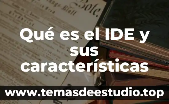Qué es el IDE y sus características