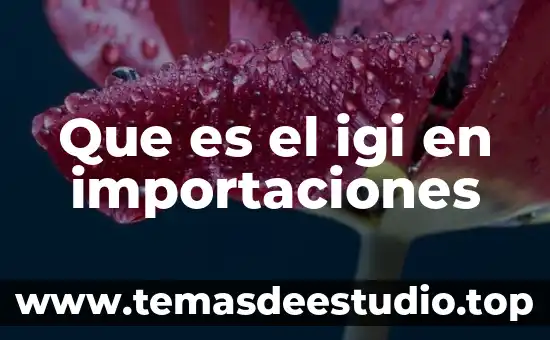 Qué es la artesanía de los mexicas 7 Que es el igi en importaciones