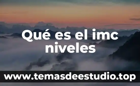 Que es el federalismo y los tres niveles de gobierno 3 Qué es el imc niveles