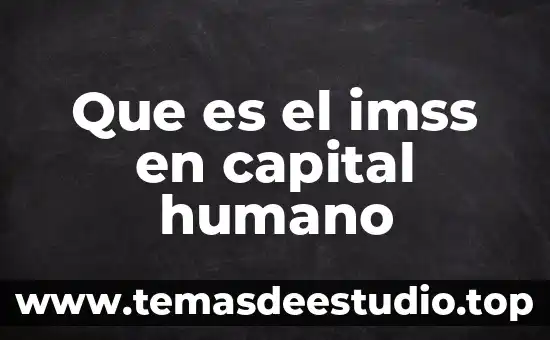 Que es el imss en capital humano