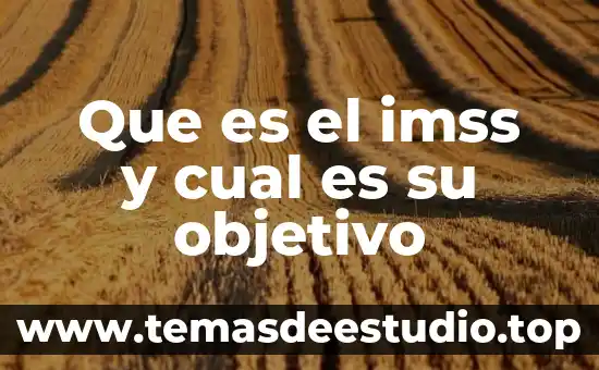 Definicion y concepto de que es un objetivo 4 Que es el imss y cual es su objetivo