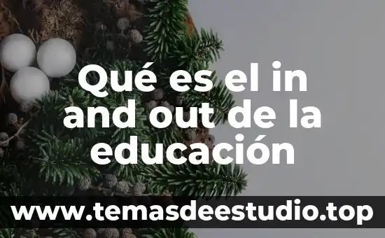 Qué es el in and out de la educación