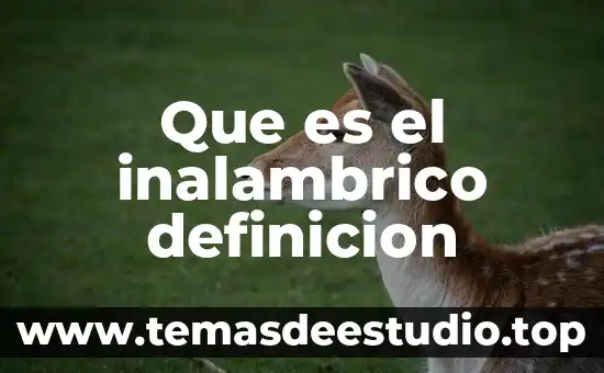 Que es el inalambrico definicion