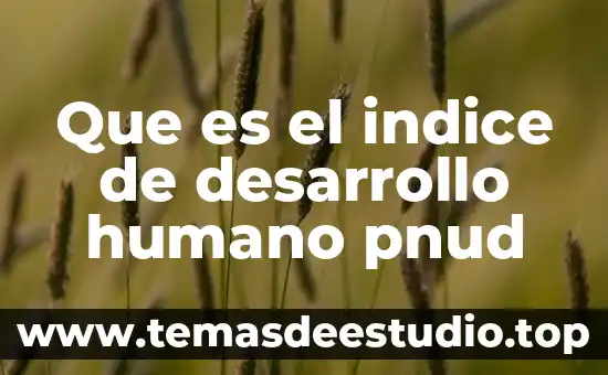 Qué es índice de complejidad económica 6 Que es el indice de desarrollo humano pnud