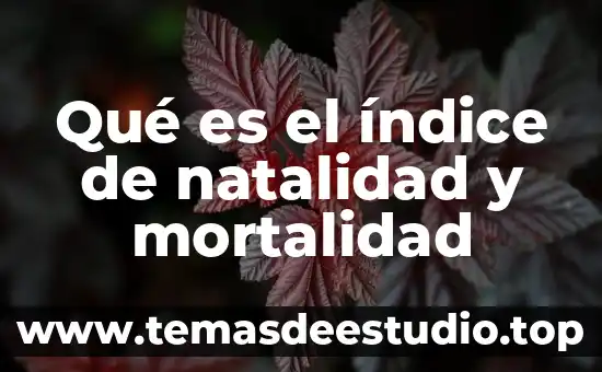 Que es natalidad y mortalidad yahoo 8 Qué es el índice de natalidad y mortalidad