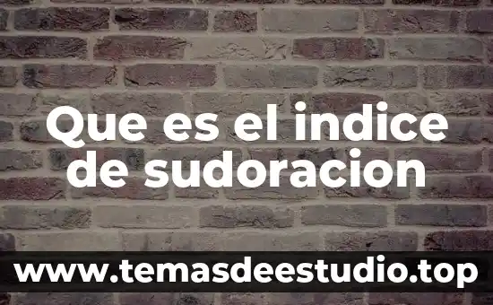 Qué es el número índice en estadística 6 Que es el indice de sudoracion