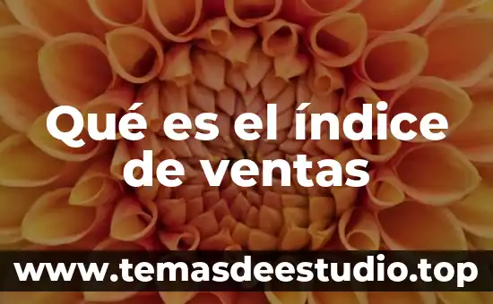 Que es notacion en un indice 7 Qué es el índice de ventas