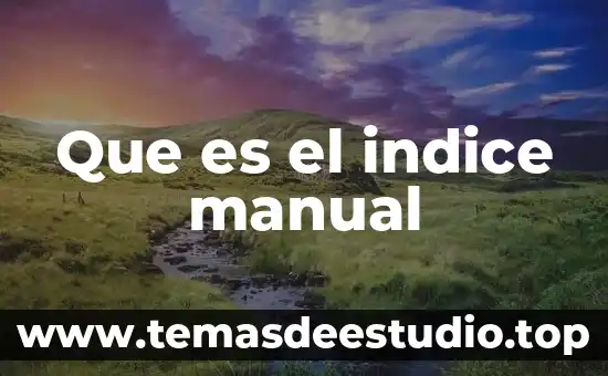 Que es notacion en un indice 3 Que es el indice manual