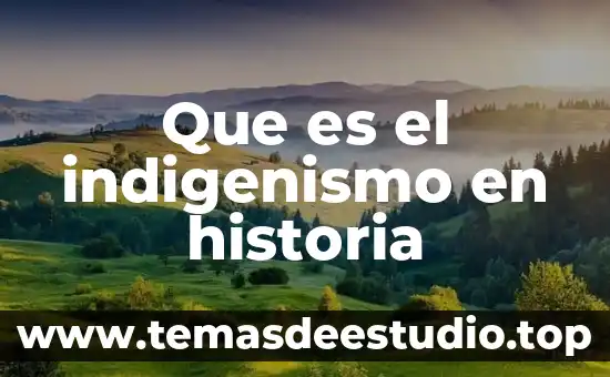 Qué es ensayo de una historia 7 Que es el indigenismo en historia