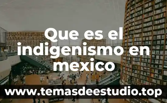 Que es el indigenismo en mexico