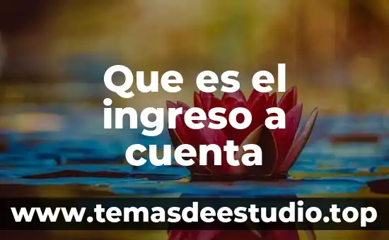 Número de pedimento que es 7 Que es el ingreso a cuenta