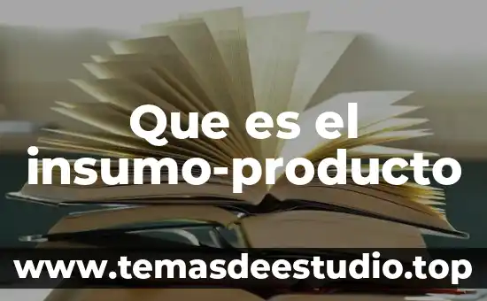 Que es el insumo-producto