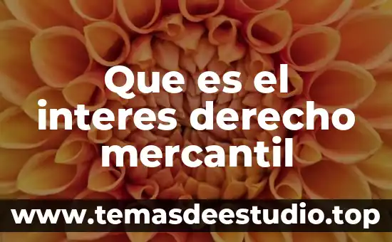 Que es el interes derecho mercantil