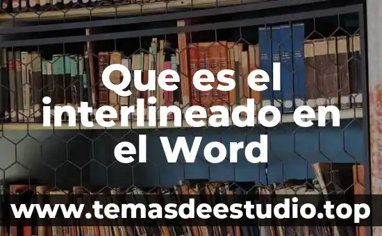 Qué es un proyecto simple y características 4 Que es el interlineado en el Word