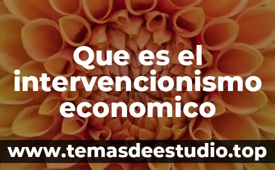 Que es el funcionalismo en arquitectura 6 Que es el intervencionismo economico