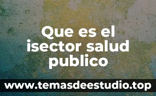 Que es una creencia en salud 3 Que es el isector salud publico