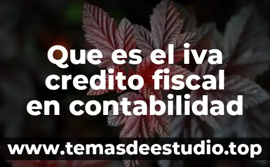Número de IVA que es México 4 Que es el iva credito fiscal en contabilidad