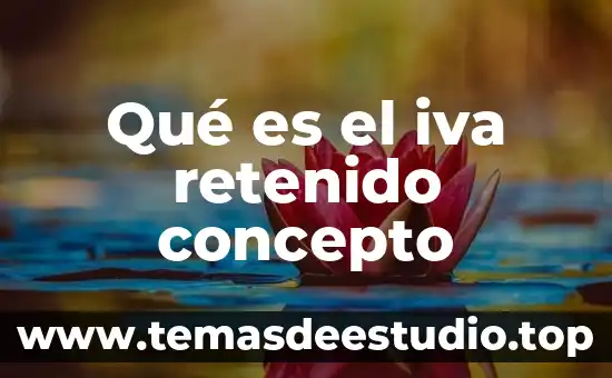 Número de IVA que es México 3 Qué es el iva retenido concepto