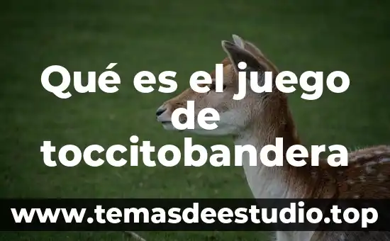 Qué es el juego de toccitobandera