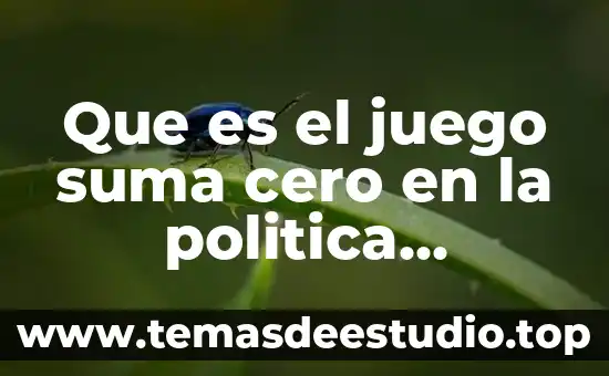 Que es el juego suma cero en la politica anticorrucion