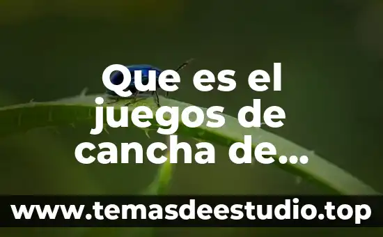 Qué es cheat en juegos 7 Que es el juegos de cancha de invasión