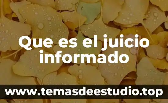 Que es asentimiento informado 5 Que es el juicio informado