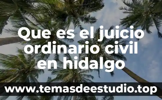 Que es relieve cultural 3 Que es el juicio ordinario civil en hidalgo