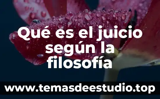 Segun plomin que es la genética 6 Qué es el juicio según la filosofía